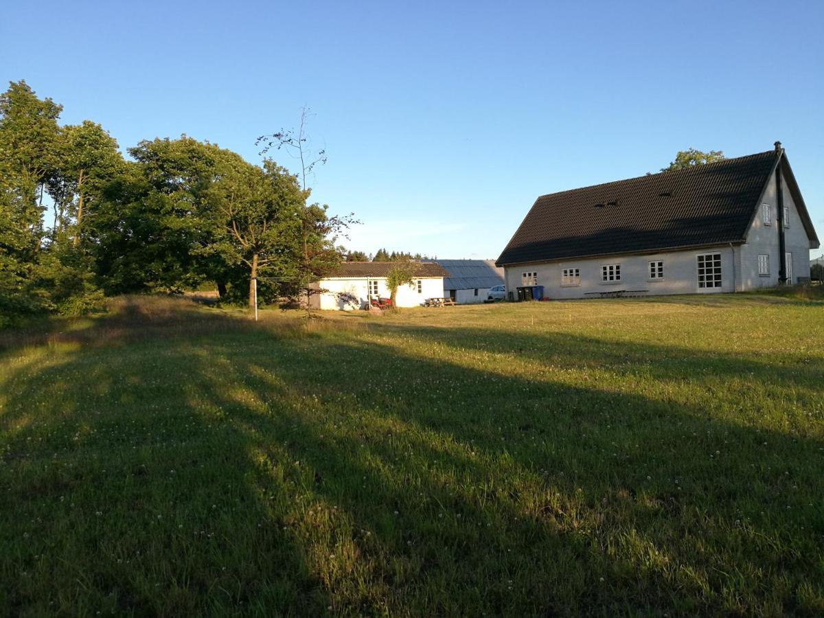 Villa Haervejsly - Perfekt Familiebase Til Oplevelse Af Sydjylland Give Exterior foto