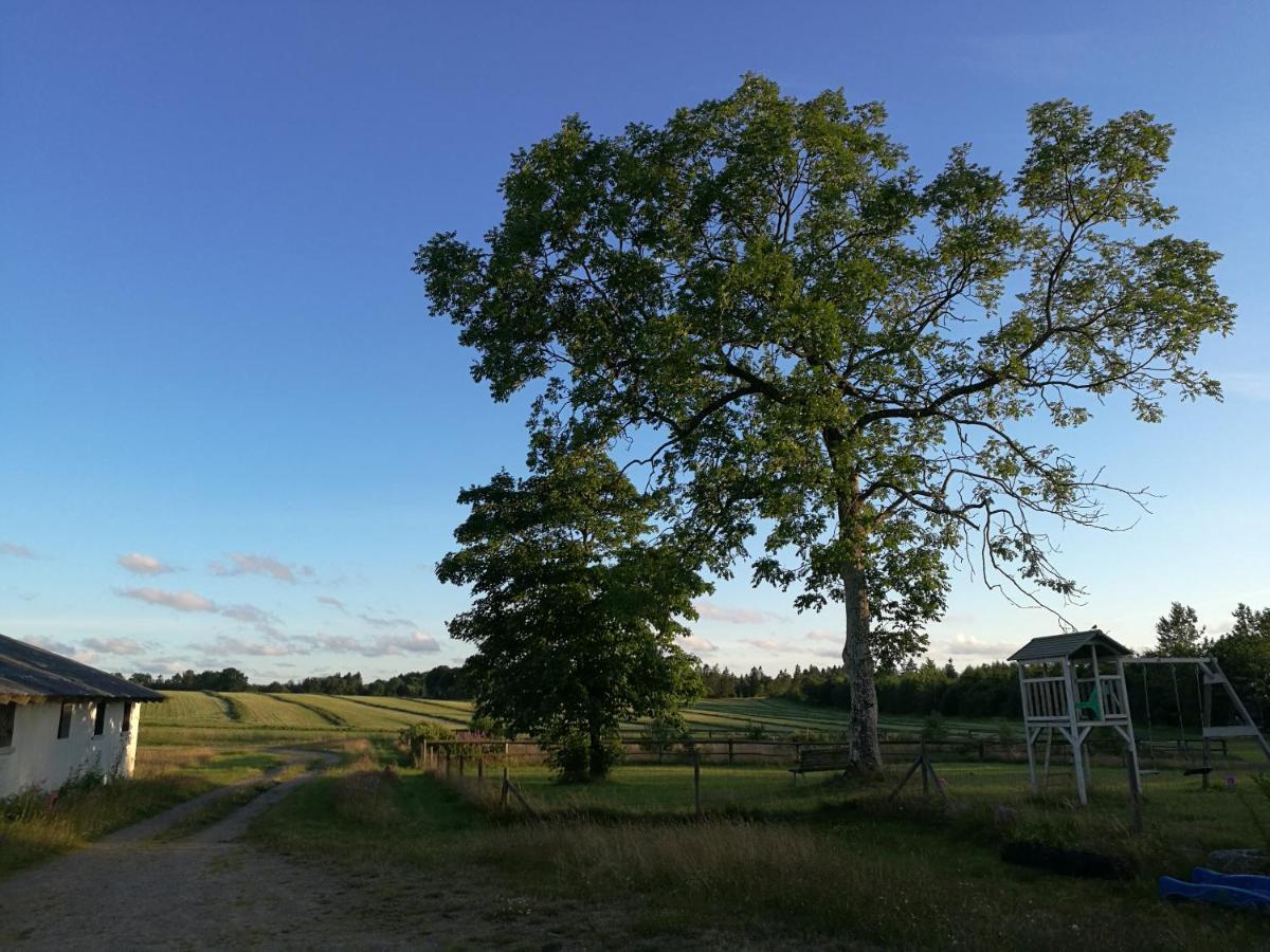 Villa Haervejsly - Perfekt Familiebase Til Oplevelse Af Sydjylland Give Exterior foto